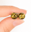 Green Amber Stud Earrings Made of Green Color Amber