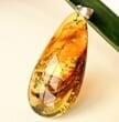 Amber Pendant Made of Precious Baltic Amber
