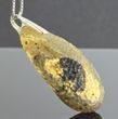 Large Meteorite Amber Pendant Carved Marble Baltic Amber