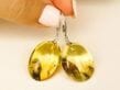 Amber Earrings Made of Flat Round Clear Lemon Baltic Amber