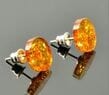 Amber Stud Earrings Made of Cognac Color Round Amber