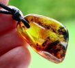 Amber Amulet On Adjustable String Free Form Amber