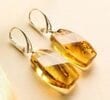Amber Rectangle Earrings Made of Honey Amber With Bits of Flora