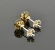 Small Amber Stud Earrings - SOLD OUT