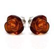 Small Carved Rose Amber Stud Earrings Made of Cognac Baltic Amber