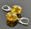 Amber Earrings Made of Olive Shape Amber With Bits of Flora
