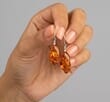 Amber Earrings Made of Cognac Color Amber