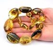 Amber Necklace Made of Baltic Amber With Bits of Flora