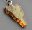 Amber Slice Pendant [See what's inside Baltic Amber]