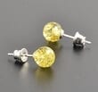 Golden Amber Stud Earrings Made of Golden Color Amber