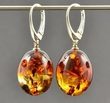 Amber Earrings Made of Large Olive Shape Colorful Baltic Amber 