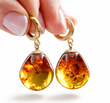 Large Amber Teardrop Earrings Made of Colorful Amber