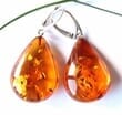 Amber Earrings Handmade of Precious Healing Baltic Amber