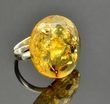 Adjustable Honey Baltic Amber Silver Ring With Bits of Flora