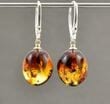 Amber Earrings Made of Small Olive Shape Baltic Amber
