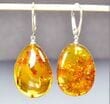 Amber Earrings Made of Honey Color Amber With Bits of Flora