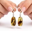 Amber Rectangle Earrings Made of Amber With Bits of Flora