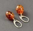 Amber Earrings Made of Olive Shape Cognac Baltic Amber