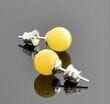 Butterscotch Amber Stud Earrings Made of Butterscotch Amber