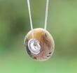 Pandora Style Amber Charm Bead Made of Raw Baltic Amber