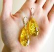 Large Amber Earrings Made of Golden Color Baltic Amber