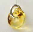 Amber Donut Pendant on Silver Bail Made of Baltic Amber