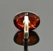Adjustable Light Cherry Baltic Amber Silver Ring - SOLD OUT
