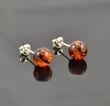 Small Amber Stud Earrings Made of Cognac Baltic Amber