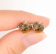 Earth Colors Amber Stud Earrings Made of Raw Amber