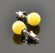 Butterscotch Amber Stud Earrings Made of Precious Baltic Amber