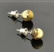 Unique Amber Stud Earrings Made of Raw Earth Colors Baltic Amber