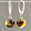 Amber Earrings Made of Made of Balic Amber With Bits of Flora