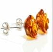 Carved Amber Rose Stud Earrings Made of Cognac Amber