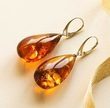 Large Teardrop Amber Earrings  Made of Dark Cognac Baltic Amber