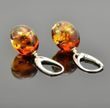 Amber Earrings Made of Small Olive Shape Baltic Amber