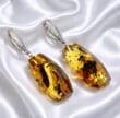 Amber Rectangle Earrings Made of Amber With Bits of Flora
