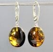 Amber Earrings Made of Oval Shape Amber With Bits of Flora
