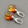 Amber Earrings Made of Oval Multicolor Baltic Amber