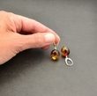 Amber Earrings Made of Olive Shape Colorful Baltic Amber