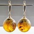 Extraordinaire Meteorite Amber Earrings Carved Cloudy Baltic Amber