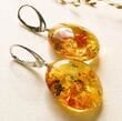 Amber Earrings Made of Honey Amber With Bits of Flora