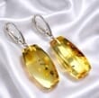 Amber Rectangle Earrings Made of Honey Amber With Bits of Flora