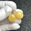 Amber Earrings Made of Butterscotch Flat Round Baltic Amber 