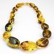Amber Necklace Made of Baltic Amber With Bits of Flora