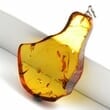 Amber Slice Pendant [See what's inside Baltic Amber] - SOLD OUT