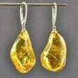 Amber Earrings Made of Natural Shape Honey Color Amber Rocks