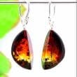 Moon Shape Amber Earrings Made of Colorful Amber