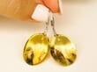 Amber Earrings Made of Flat Round Baltic Amber With Bits of Flora