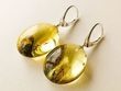Amber Earrings Made of Flat Round Baltic Amber With Bits of Flora