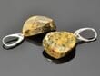 Twisted Leaf Shape Amber Earrings Made of Earth Colors Amber